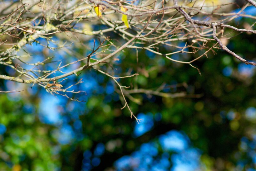 2cd81925-633e-4c47-86b5-17ad59e69eb4