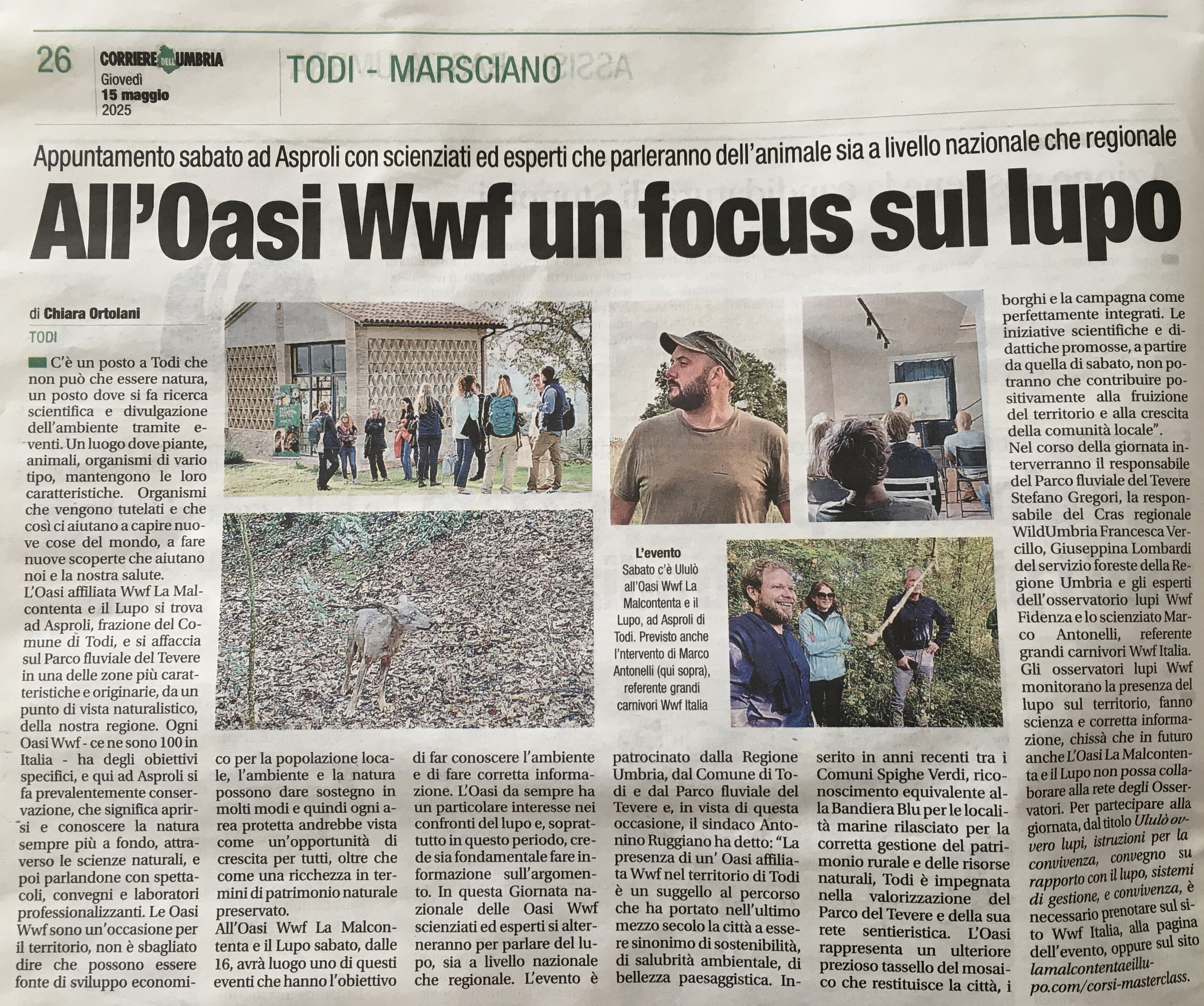 ALL'OASI WWF UN FOCUS SUL LUPO