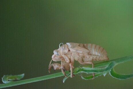 eef9ac6f-0ece-40b4-ad02-44c2924ceba2