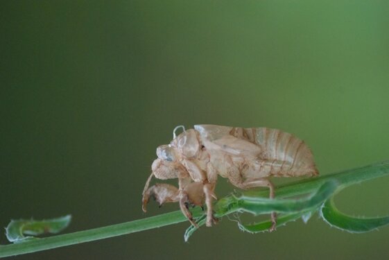 eef9ac6f-0ece-40b4-ad02-44c2924ceba2