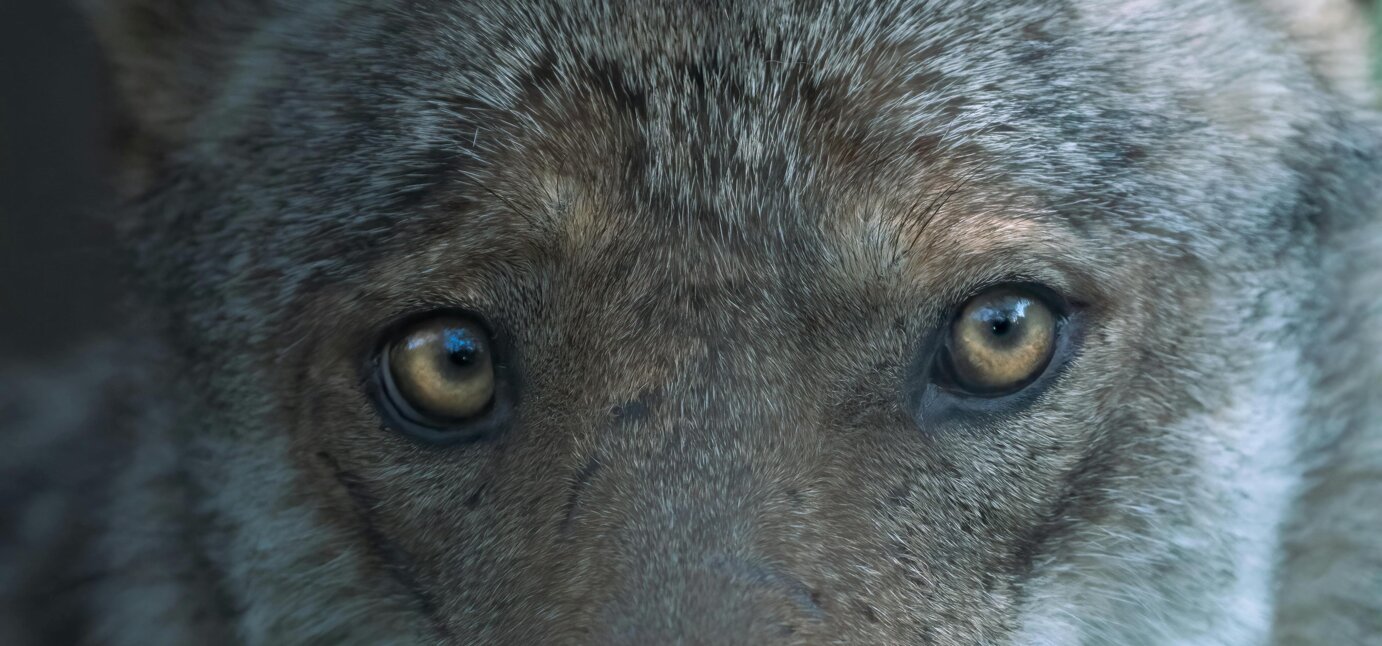 c2e7bf62-6e99-44ed-89f8-bd699c1c5e96