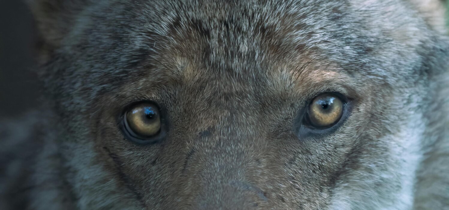 c2e7bf62-6e99-44ed-89f8-bd699c1c5e96