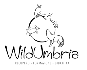 3977ad14-4849-4efb-8ad1-888f6cc09cd7