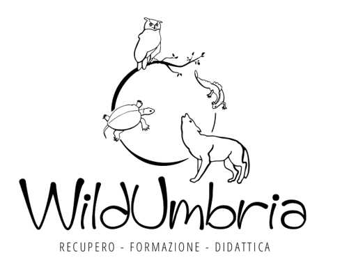 3977ad14-4849-4efb-8ad1-888f6cc09cd7