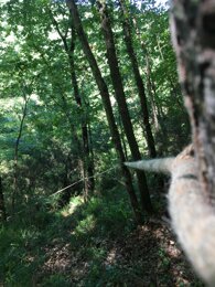 aabc2dbb-c650-4ce0-bb1d-41740dc49938