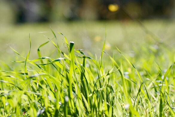 e0d44593-f19e-435f-a0a0-86169b75b963