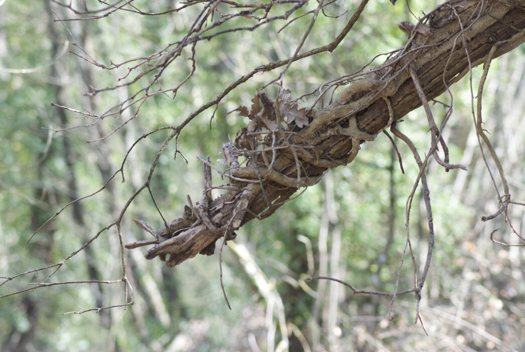 4bb7a0d6-d2a1-418b-b570-ea2e22bfcfec