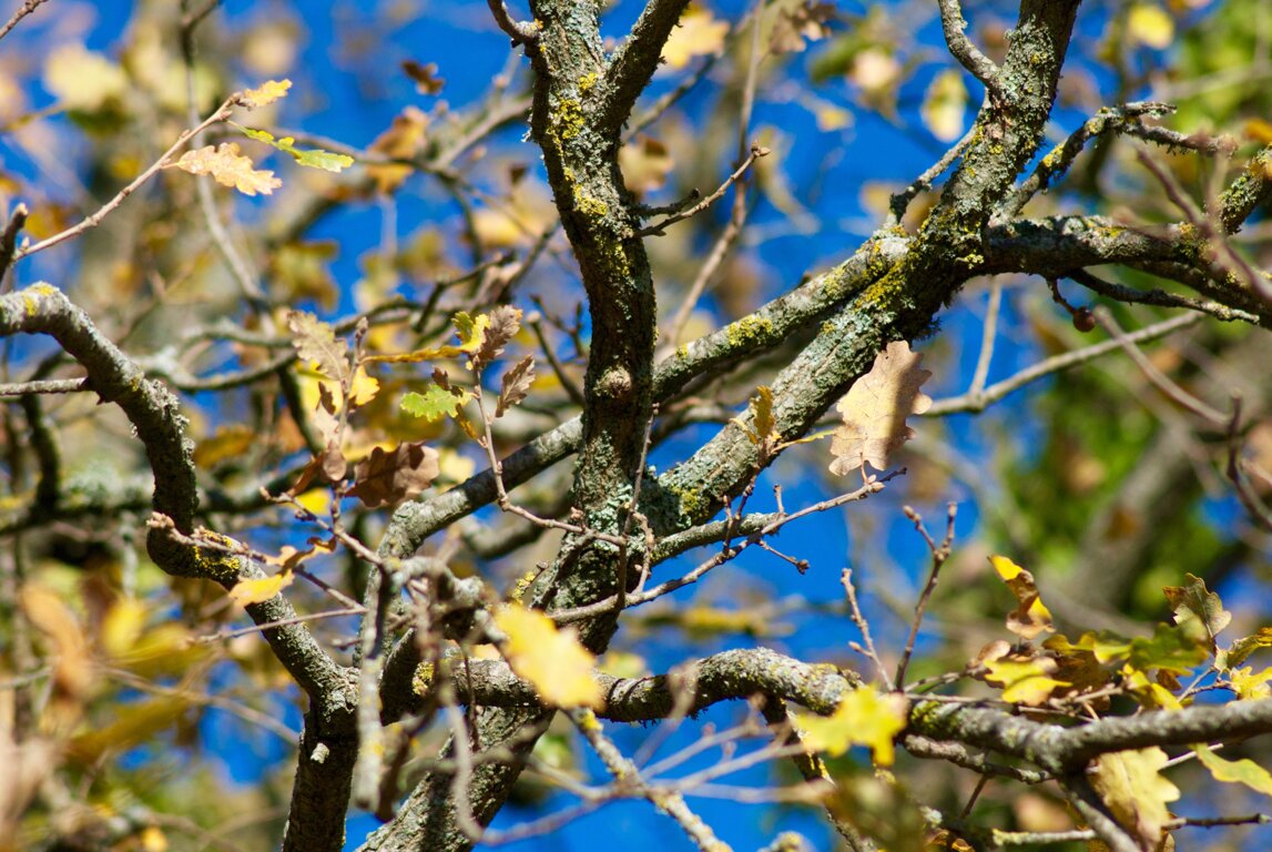 e52be827-d9fb-404f-b584-857168e38cce