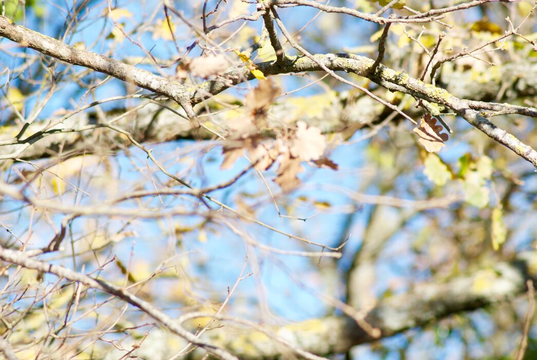 f9c2539d-0beb-4c11-a7e9-fb6ffcbdf368 f9c2539d-0beb-4c11-a7e9-fb6ffcbdf368