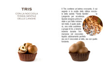 30e5c248-4e2e-4a74-bed4-e6269e28ab34 30e5c248-4e2e-4a74-bed4-e6269e28ab34