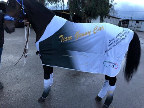 0257a6ac-a496-426e-aa64-1e3e3dfdfb4e