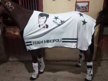 81525fe5-648e-4183-afb5-484e5c002a68