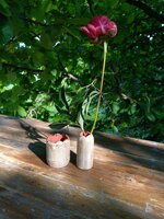 fiori-del-prato-meadow-flowers