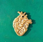 decorazioni-cuore-e-cervello