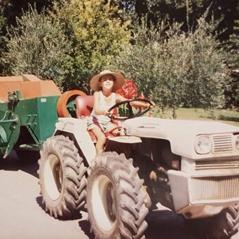 35aa173b-4061-4f49-a399-36a3756eb884