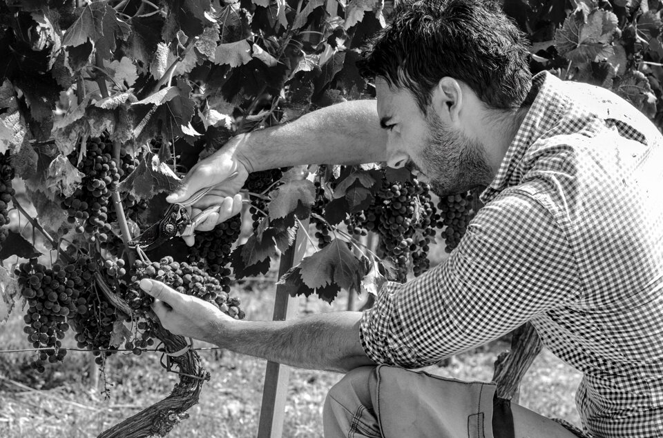 7f306d79-9d2d-457c-9153-ac82df043808 7f306d79-9d2d-457c-9153-ac82df043808