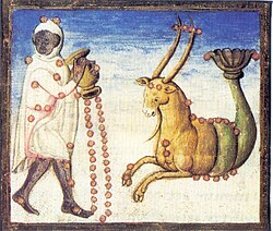 miscellanea_astronomica_-_mermen_and_capricorn_bldk.jpeg miscellanea_astronomica_-_mermen_and_capricorn_bldk.jpeg