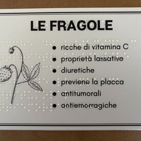 stampa Braille - mappa tattile - targa Braille Targa Braille - Giardino Sensoriale