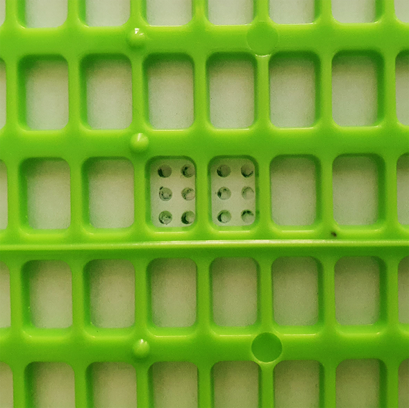 459a9e4b-2cd9-402f-8fa3-245dd7d5e3f9