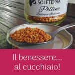 polline-biologico-disidratato-a-bassa-temperatura