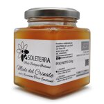 miele-biologico-del-crinale-dellappennino-tosco-emiliano