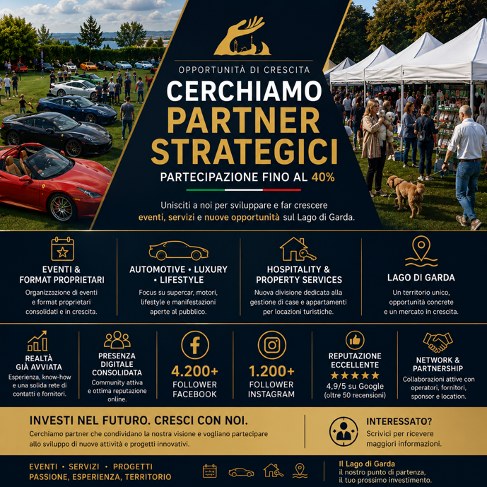 cerchiamo partner strategici cerchiamo partner strategici