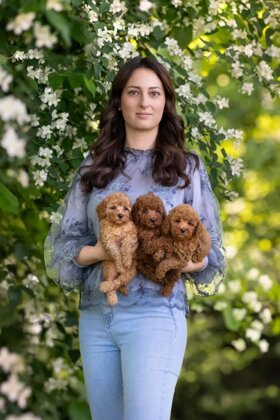 887c647f-10a9-4694-896b-5c90321d527c