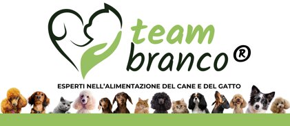 c30c5eaf-d2e4-40a4-ae8f-4fc6ce00a527