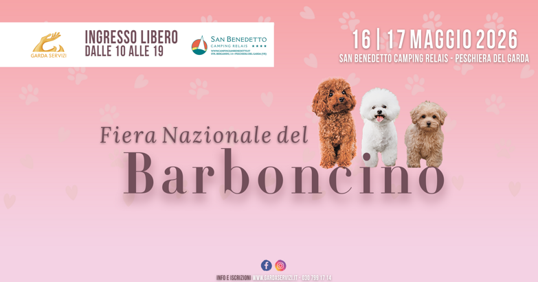 banner fiera nazionale del barboncino banner fiera nazionale del barboncino