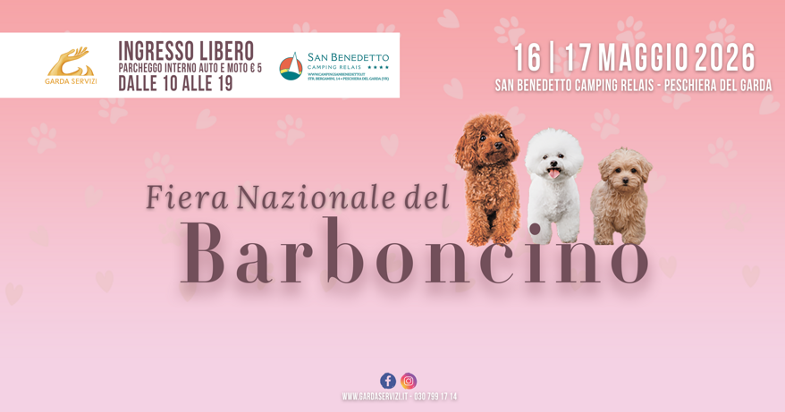 banner fiera nazionale del barboncino banner fiera nazionale del barboncino
