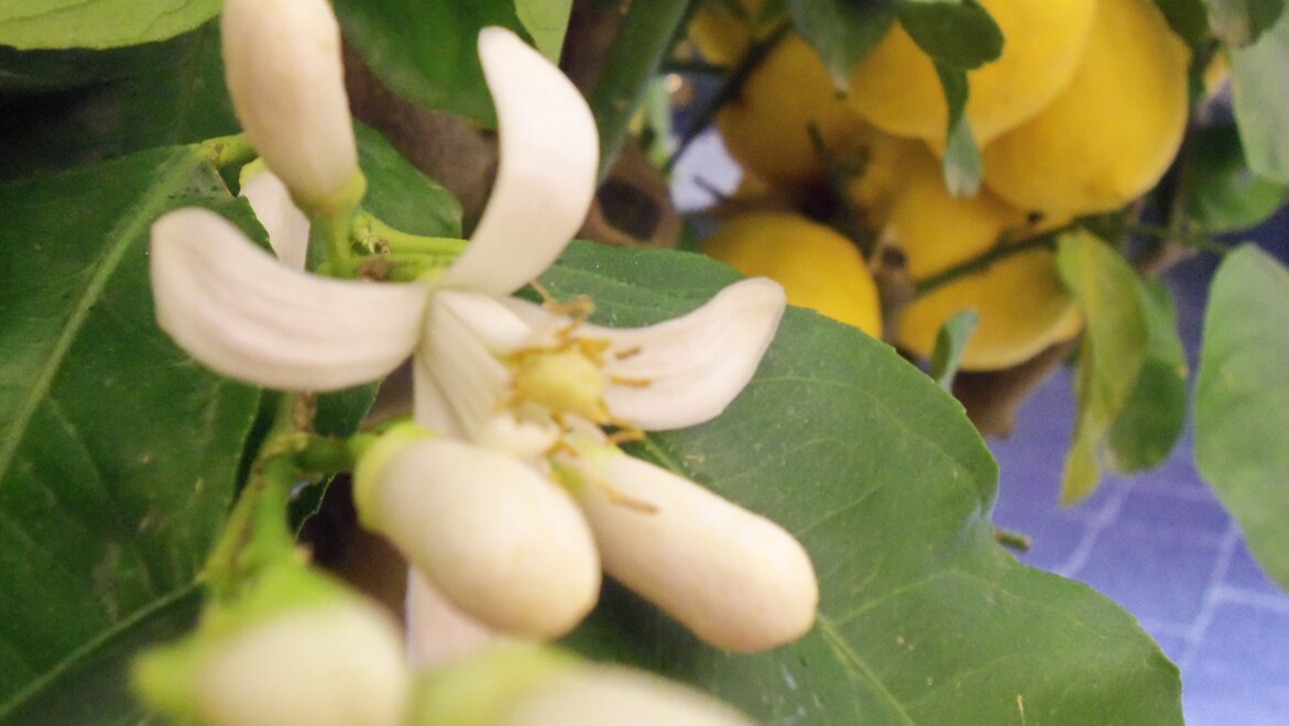 1fc78d66-9054-4364-945a-531a05fe66ee