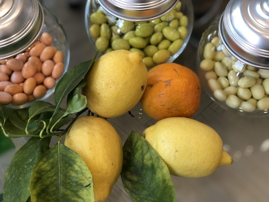 8e66e1b7-b4e0-47a0-bca5-c892fdf298df