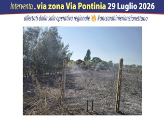 screenshot 2026-07-31 alle 11.49.48