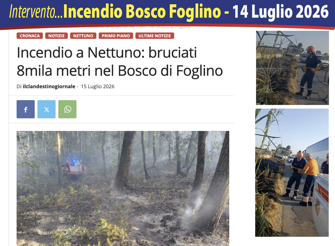 screenshot 2026-07-31 alle 11.32.59
