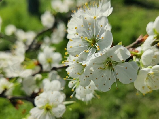 8d12bee9-ab8b-4657-b6bd-0d9f4162ba5f 8d12bee9-ab8b-4657-b6bd-0d9f4162ba5f