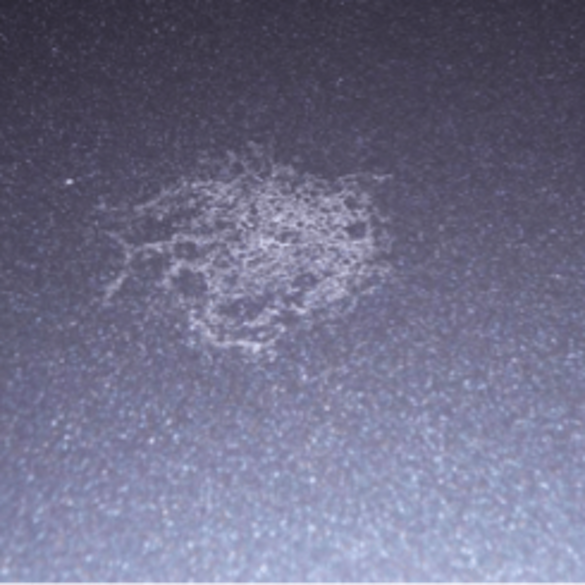 8fe72e04-68fc-4613-b3b8-641be51acefc 8fe72e04-68fc-4613-b3b8-641be51acefc