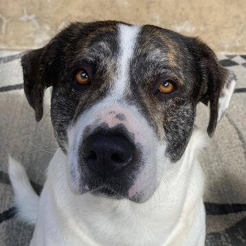 be97865d-1ff4-408c-9a5a-cb033f558490