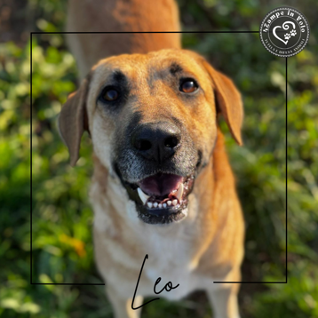 1bc33358-9f74-4395-bcff-b36bdf96d8f5