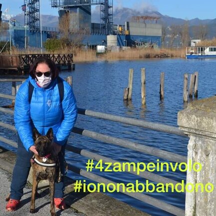 #4zampeinvolo 4 Zampe in Volo - No all'Abbandono