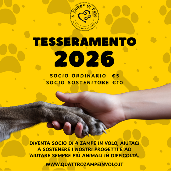 tesseramento 2026