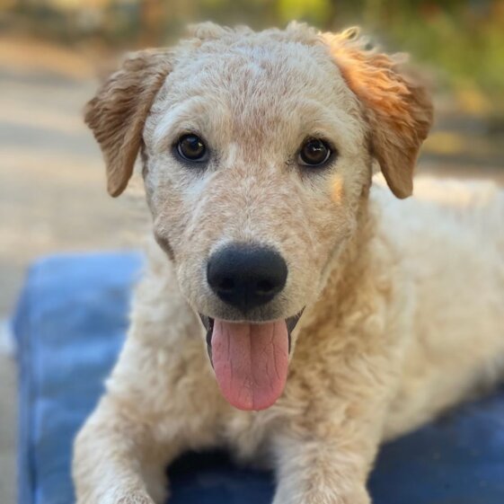 a9c3c72f-9c96-4e54-bc3e-4b5bbd1bf310