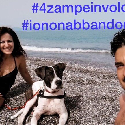 #4zampeinvolo 4 Zampe in Volo - No all'Abbandono