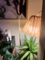 pallina-di-natale-solidale-personalizzata-edizione-2022-by-giulia-polizzano