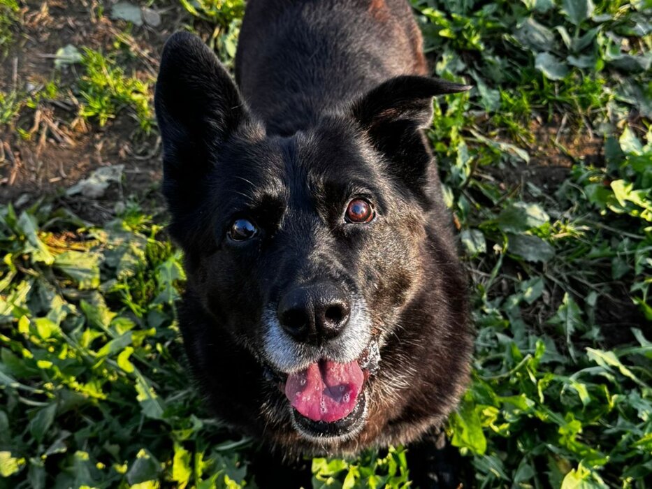 3ef388b5-7094-4e34-8c52-fb90f23c9f1f.jpeg 3ef388b5-7094-4e34-8c52-fb90f23c9f1f.jpeg