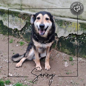 0644f46c-206c-499f-b510-fb5c3bc37321