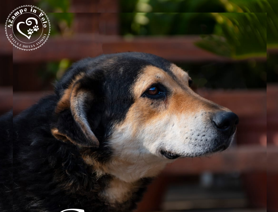 836ac3b4-41d4-42d6-8536-5b1c96be49c6