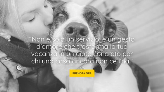 ce7c3c46-e81b-4d5e-9cf7-8620d9423eae