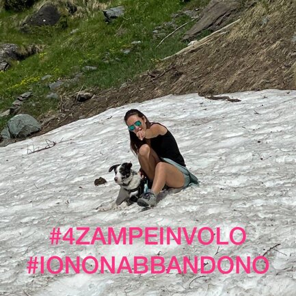 #4zampeinvolo 4 Zampe in Volo - No all'Abbandono
