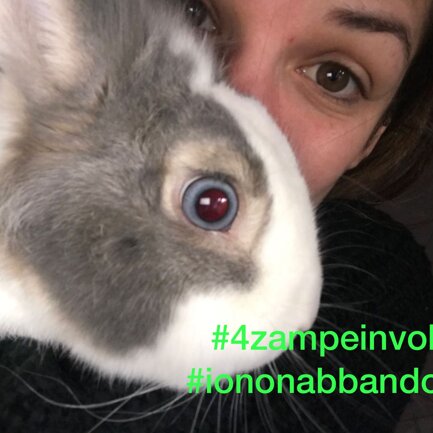 #4zampeinvolo 4 Zampe in Volo - No all'Abbandono