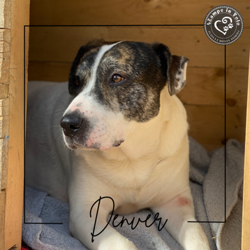 d907fef8-236b-4042-a9fd-fca9ef830ff7